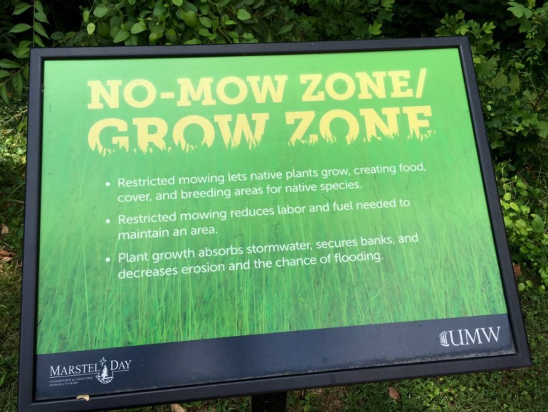 "No Mow Zone" sign stating: 
Restricted mowing lets native plants grow, creating food, cover, and breeding areas for native species.
Restricted mowing reduces labor and fuel needed to maintain an area.
Plant growth absorbs stormwater, secures banks, and decreases erosion and the chance of flooding.