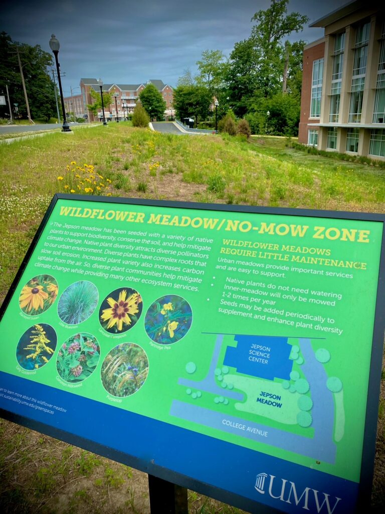 Photo of the informational sign next to the Jepson Meadow behind Jepson Science Center.